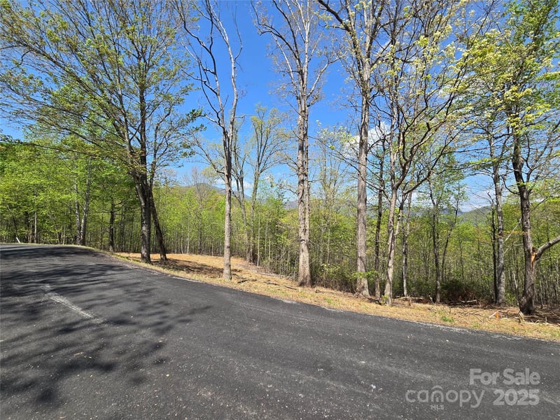 Lot 34 High Rock Rg, Lake Lure, NC 28746