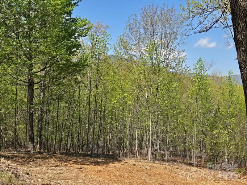Lot 34 High Rock Rg, Lake Lure, NC 28746