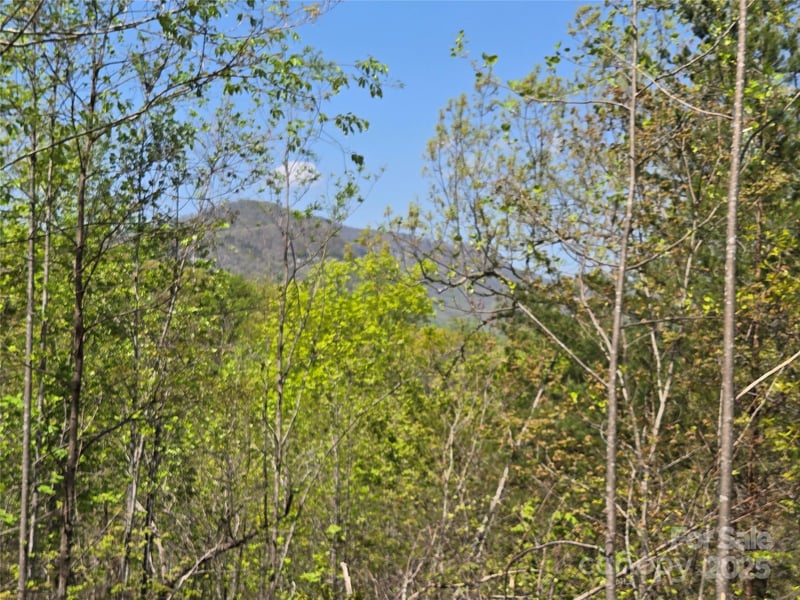 Lot 35 High Rock Rg, Lake Lure, NC 28746