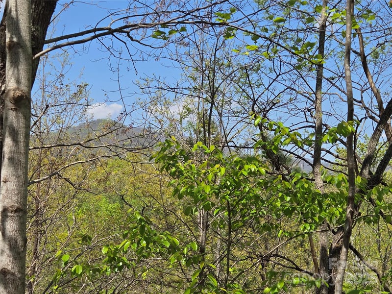Lot 35 High Rock Rg, Lake Lure, NC 28746