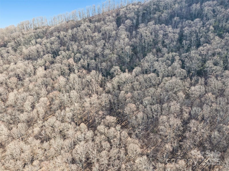 00 Apple Creek Rd, Waynesville, NC 28786