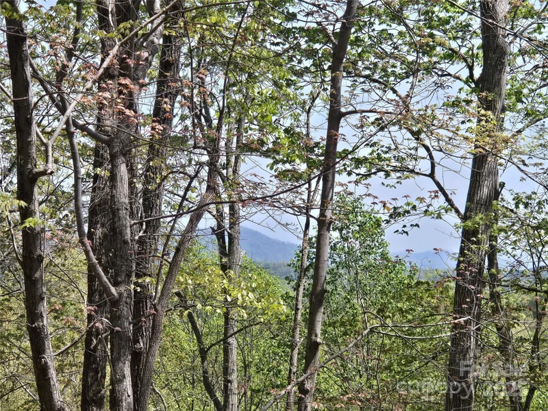 Lot 36 Turkey Fall Ln, Lake Lure, NC 28746