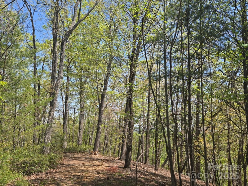 Lot 36 Turkey Fall Ln, Lake Lure, NC 28746
