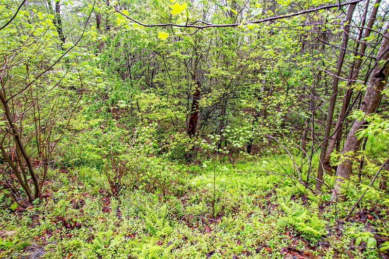TBD High Hemlock Trl #46, Brevard, NC 28712