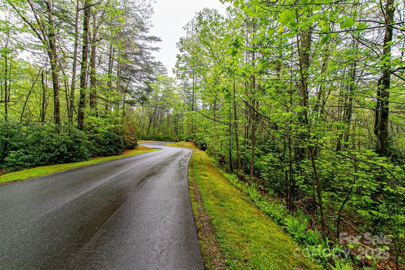 TBD High Hemlock Trl #46, Brevard, NC 28712