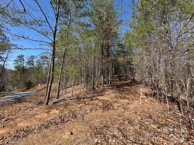Hawthorne Dr #1,17,18, Lake Lure, NC 28746