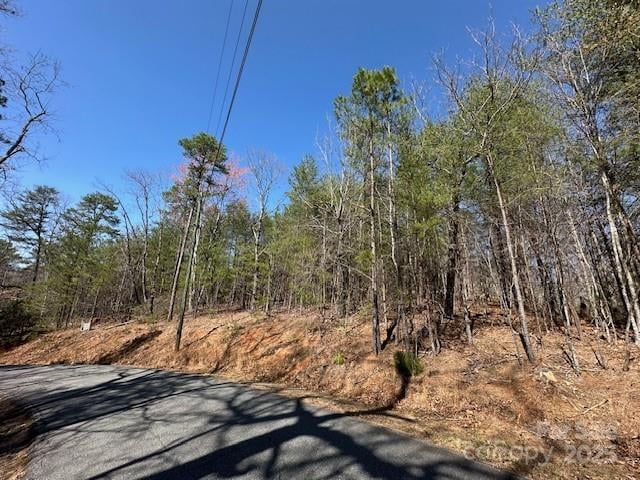 Hawthorne Dr #1,17,18, Lake Lure, NC 28746