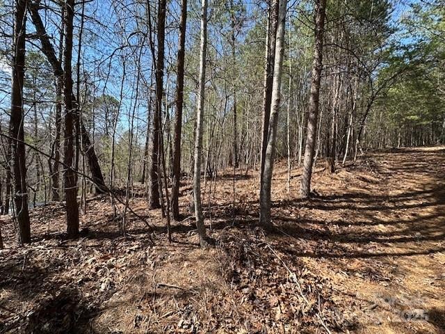 Hawthorne Dr #1,17,18, Lake Lure, NC 28746