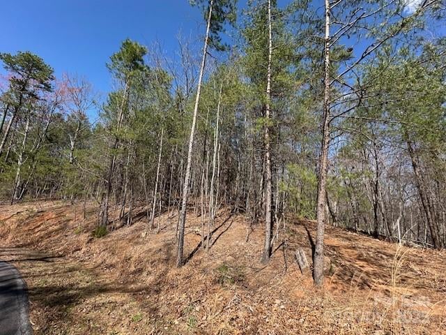 Hawthorne Dr #1,17,18, Lake Lure, NC 28746