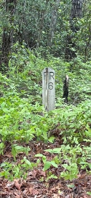 FR 16 Opossum Pa #FR 16, Brevard, NC 28712