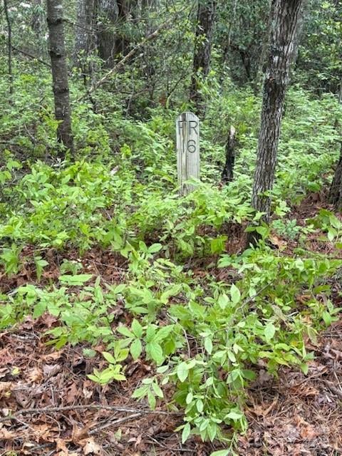 FR 16 Opossum Pa #FR 16, Brevard, NC 28712