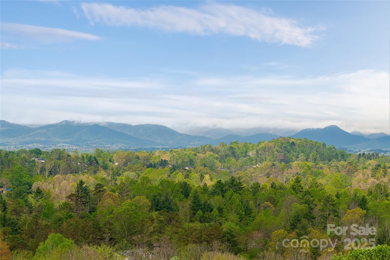 25 Coal Creek Ln, Weaverville, NC 28787