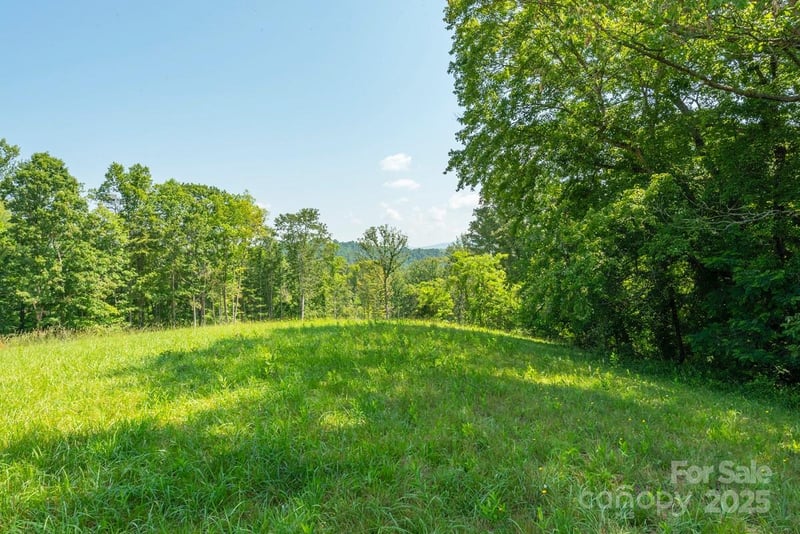 116 Lilikoi Ln #95, Asheville, NC 28804