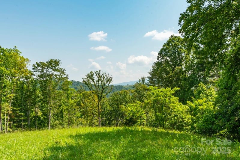 116 Lilikoi Ln #95, Asheville, NC 28804