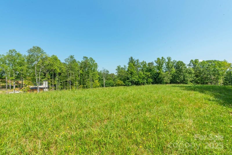 116 Lilikoi Ln #95, Asheville, NC 28804