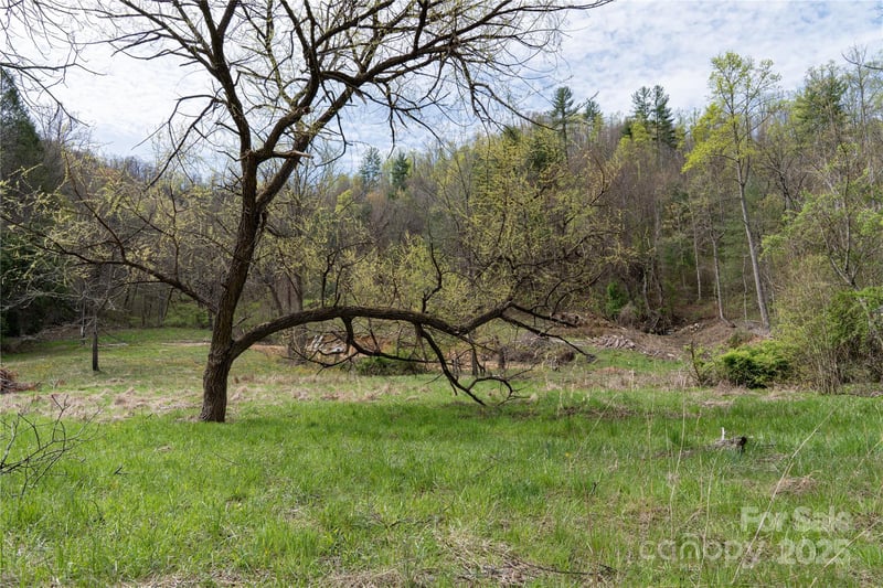 1408 Hamburg Rd, Mars Hill, NC 28754