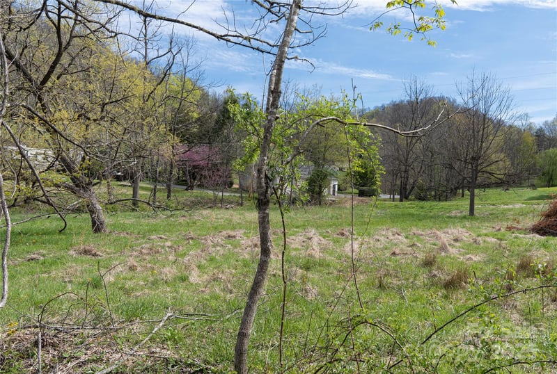 1408 Hamburg Rd, Mars Hill, NC 28754