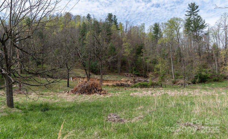 1408 Hamburg Rd, Mars Hill, NC 28754