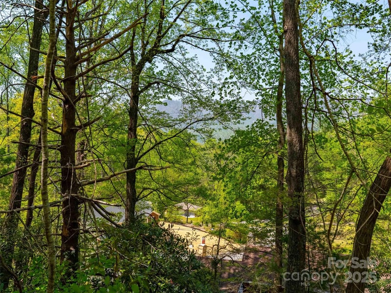 147 Sidney Lanier Dr, Lake Lure, NC 28746