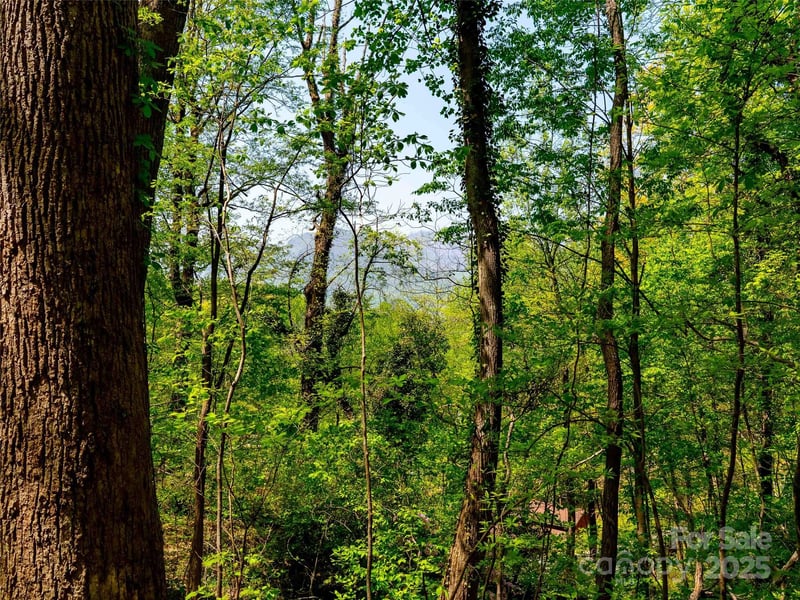 147 Sidney Lanier Dr, Lake Lure, NC 28746