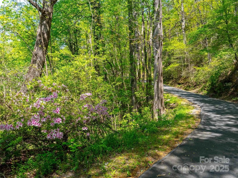 147 Sidney Lanier Dr, Lake Lure, NC 28746