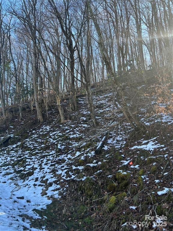 00 Puncheon Ln #149, Mars Hill, NC 28754