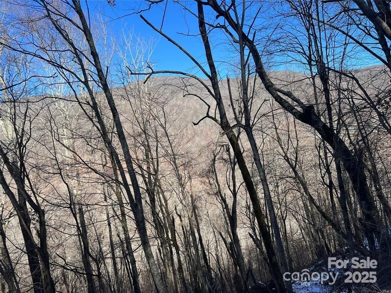 00 Puncheon Ln #149, Mars Hill, NC 28754