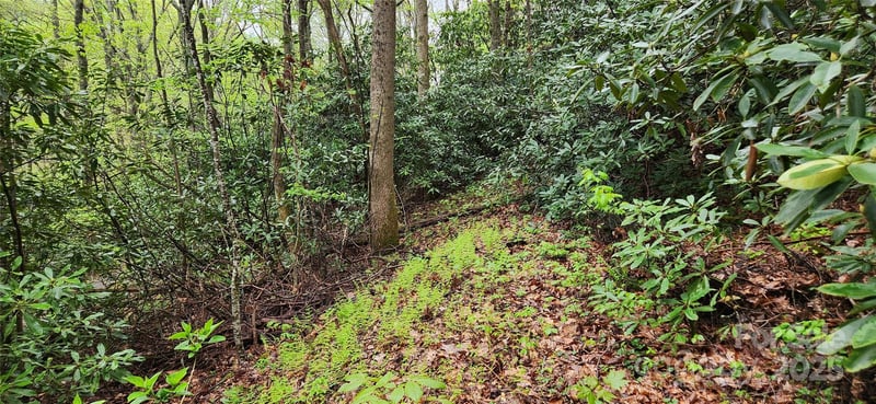 99999 Atherton Way, Asheville, NC 28803