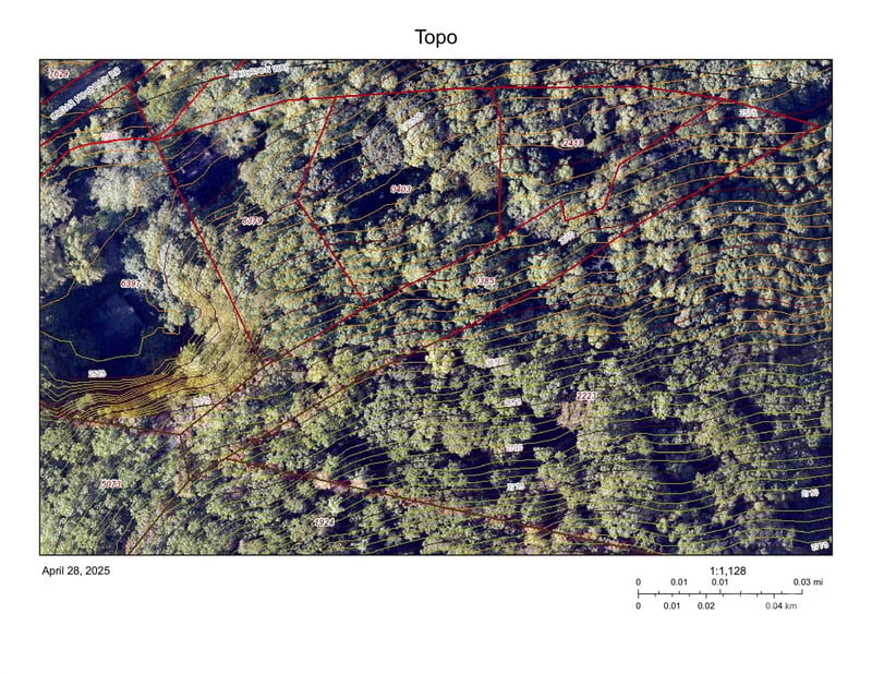 99999 Atherton Way, Asheville, NC 28803