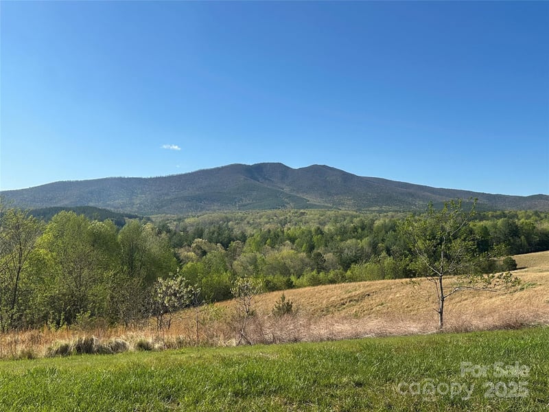 Vacant Lot 13 Lake Crest Dr, Nebo, NC 28761