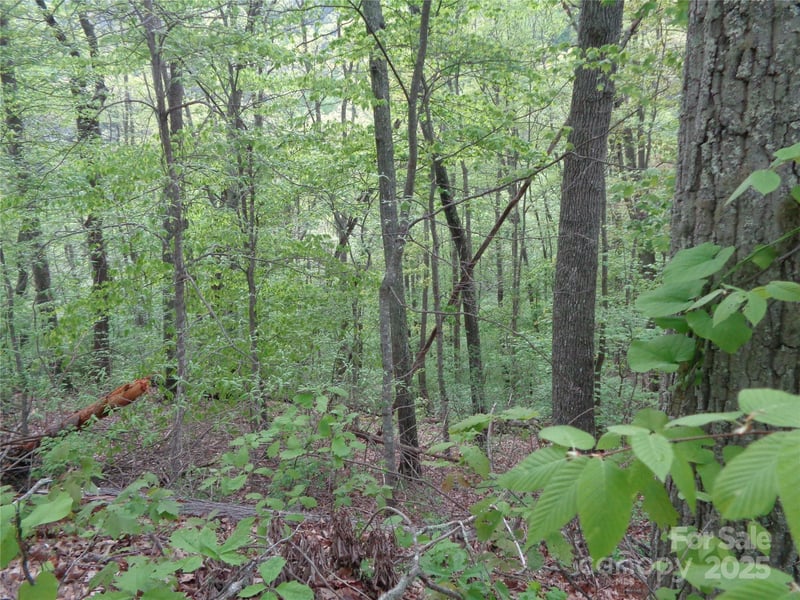 00 Promiseland Rd, Canton, NC 28716