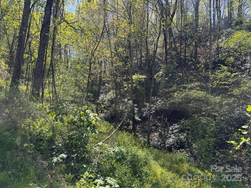 000 Relief Extension, Green Mountain, NC 28740