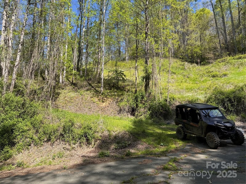 000 Relief Extension, Green Mountain, NC 28740