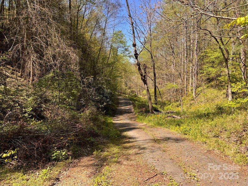000 Relief Extension, Green Mountain, NC 28740