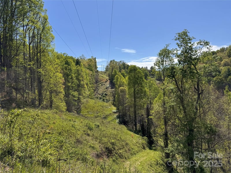 000 Relief Extension, Green Mountain, NC 28740