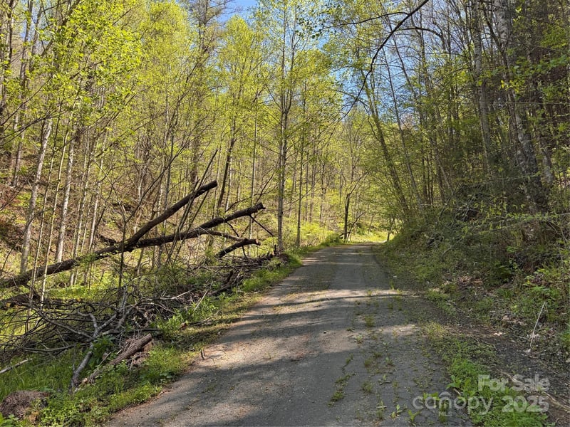 000 Relief Extension, Green Mountain, NC 28740