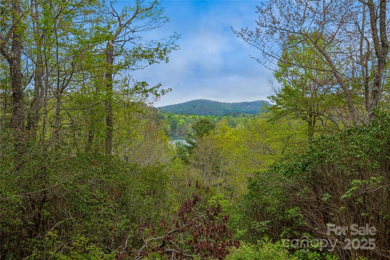 3539 West Club Blvd, Lake Toxaway, NC 28747