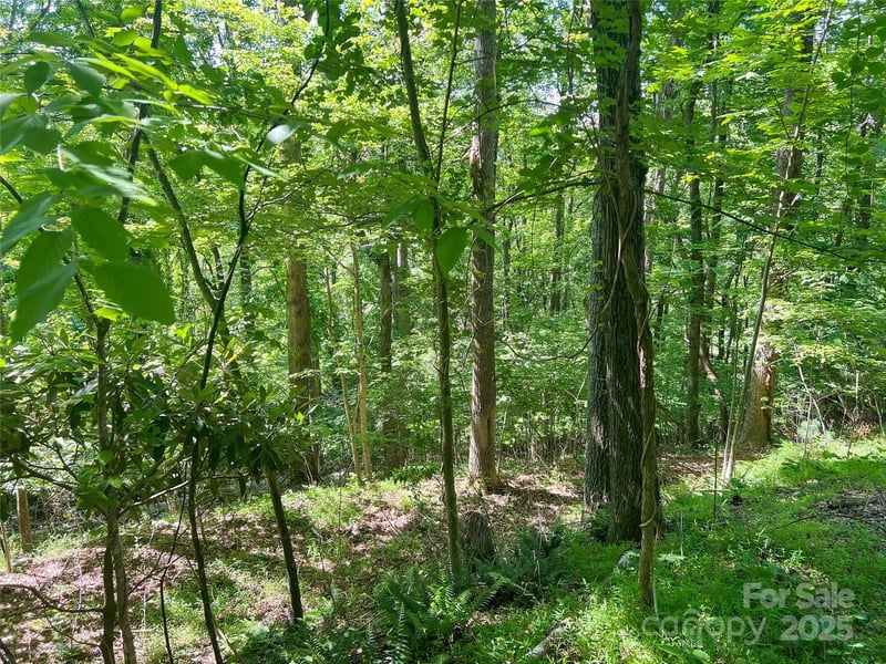 101 Chattooga Rn #181, Hendersonville, NC 28739