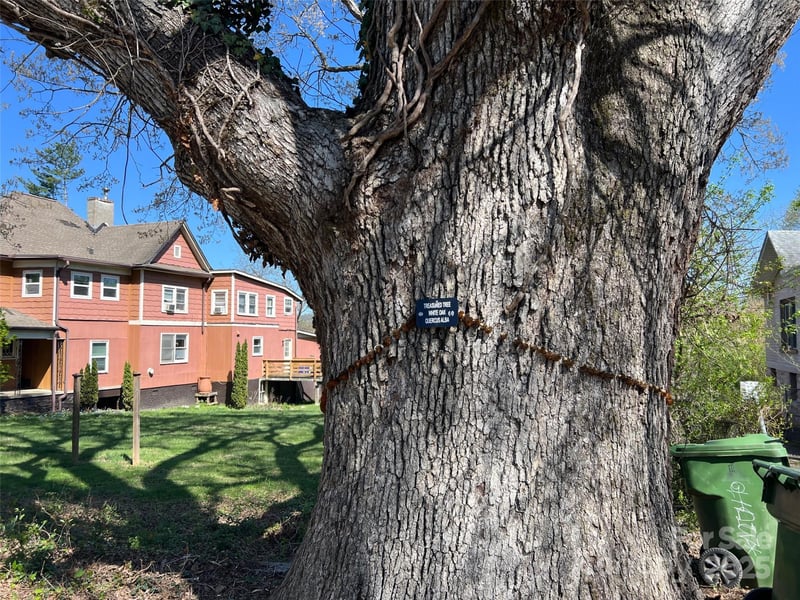 31 Westwood Pl, Asheville, NC 28806