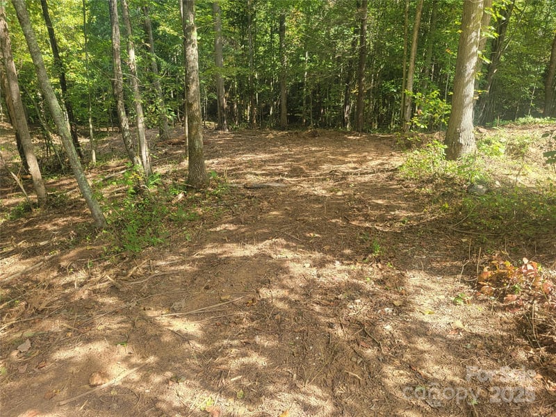 00 Bradford Pk #10, Clyde, NC 28721