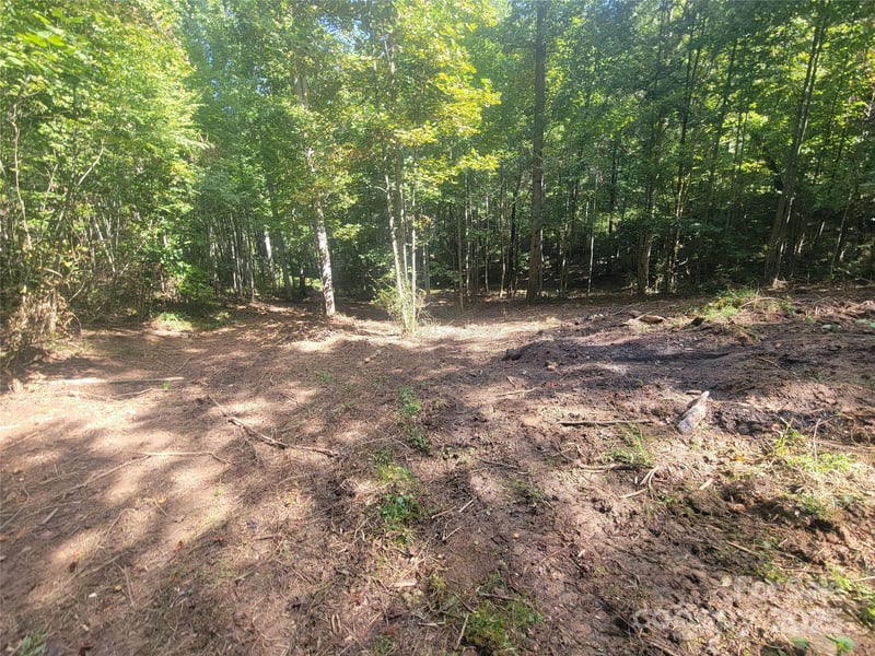 00 Bradford Pk #10, Clyde, NC 28721