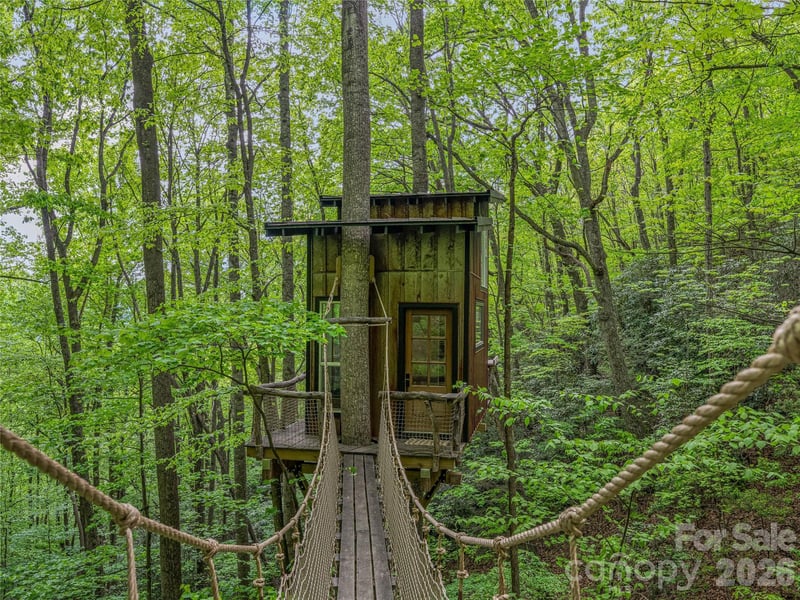 59 Pisgah Mountain Trl, Candler, NC 28715