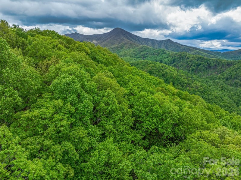 59 Pisgah Mountain Trl, Candler, NC 28715