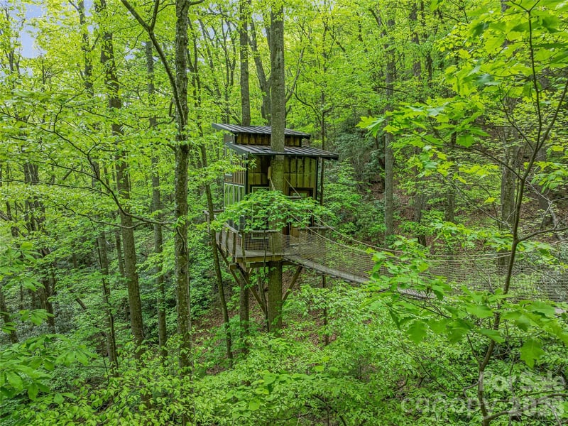 59 Pisgah Mountain Trl, Candler, NC 28715