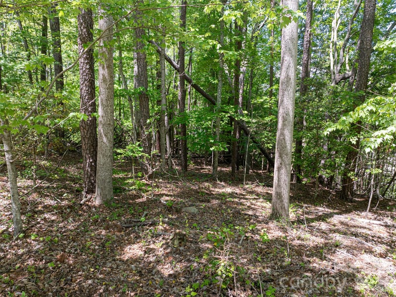 99999 Brevard Rd, Arden, NC 28704