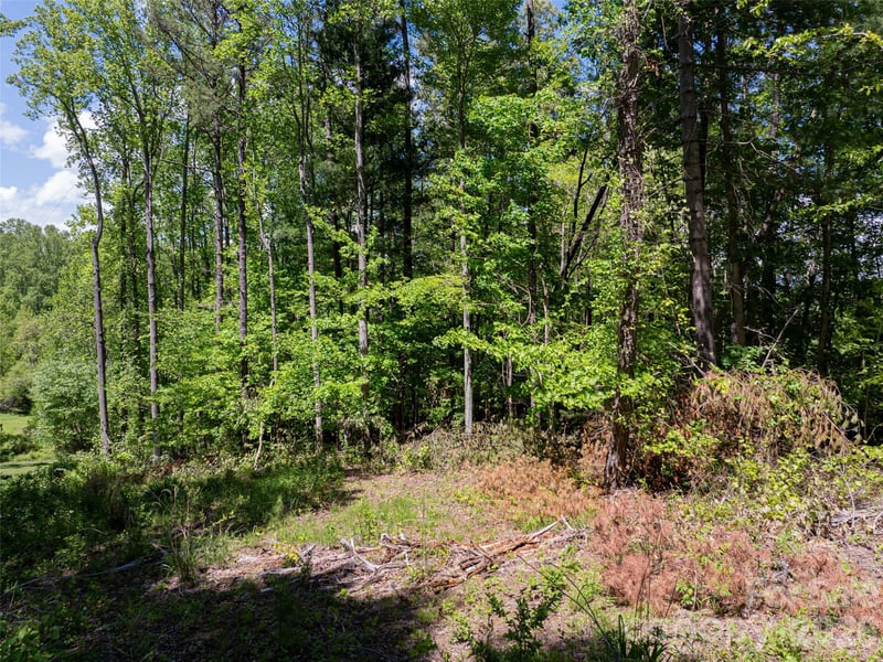 99999 Brevard Rd, Arden, NC 28704