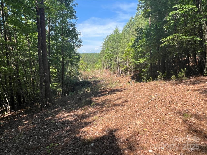 South Mountain Dr #16, Nebo, NC 28761