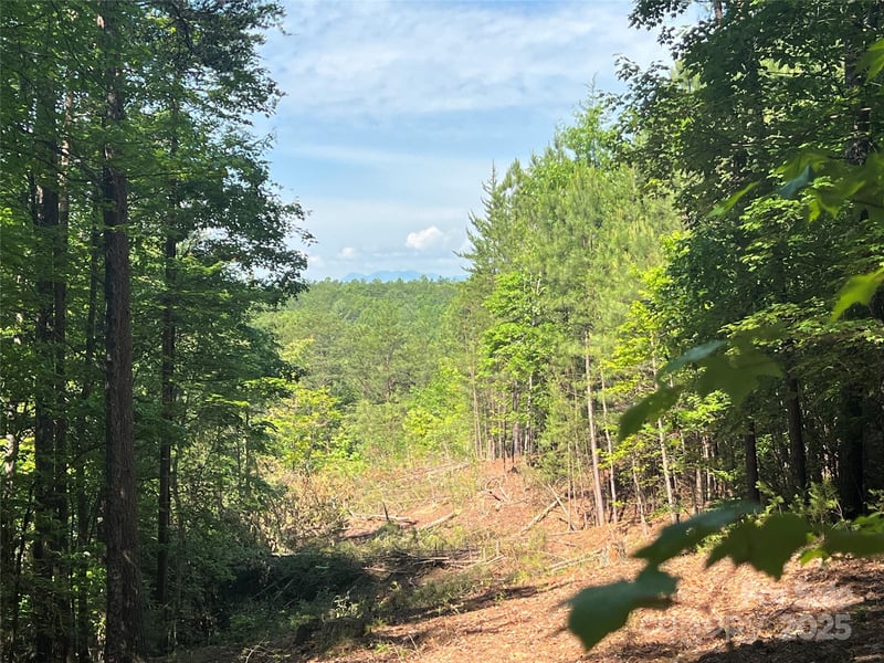 South Mountain Dr #16, Nebo, NC 28761