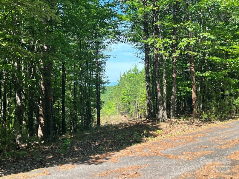 South Mountain Dr #16, Nebo, NC 28761