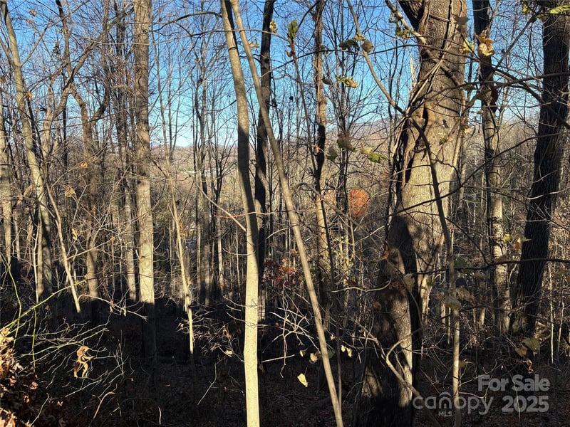 TBD Adams St #1, Waynesville, NC 28786